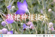 ۹Nֲgҕl